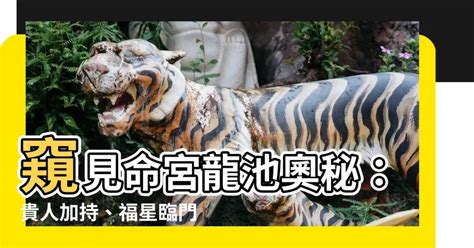 龍池意思|「龍池鳳閣」代表什麼？揭開中國古代建築的最高殿堂